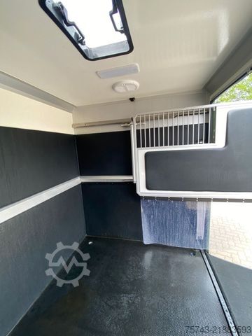 Phương tiện chở gia súc RENAULT Master STX 5 Sitzer Haras ex. Lang Automatik