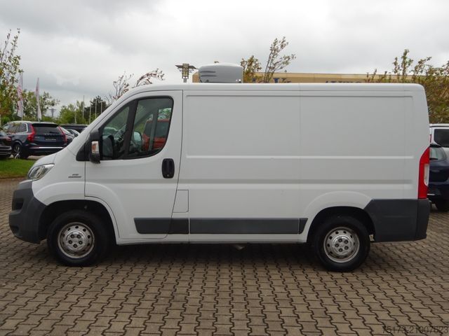 Ψυγειοφόρο βαν FIAT Ducato 115PS Teifkühlkasten L1H1 Kamera