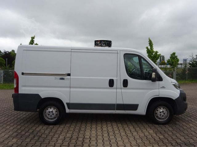 Ψυγειοφόρο βαν FIAT Ducato 115PS Teifkühlkasten L1H1 Kamera