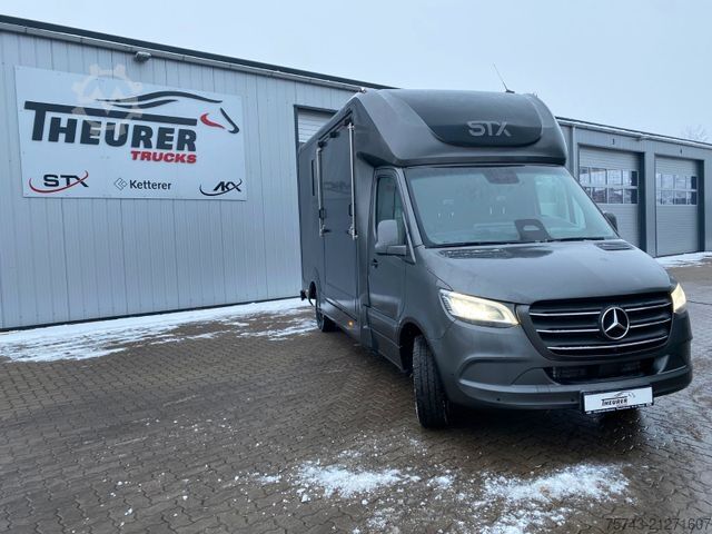 Dyrfrakter MERCEDES-BENZ STX Sprinter  GG 4,100KG  Haras Hengste