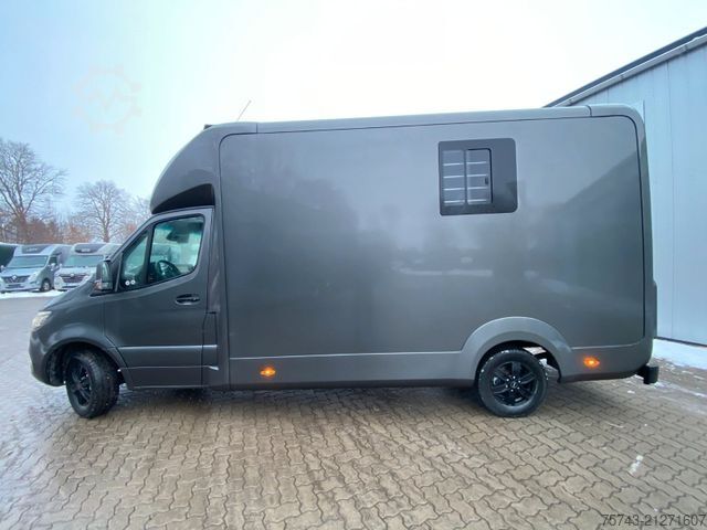 Dyrfrakter MERCEDES-BENZ STX Sprinter  GG 4,100KG  Haras Hengste