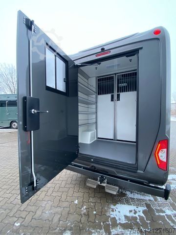Dyrfrakter MERCEDES-BENZ STX Sprinter  GG 4,100KG  Haras Hengste