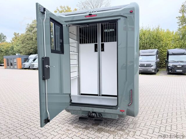 Μεταφορέας ζώων RENAULT Master STX 5 Sitzer Haras ex. Lang Automatik