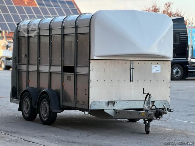 รถพ่วงขนส่งม้า IFOR WILLIAMS SB 2 TA35 PKW Tandem Viehanhänger