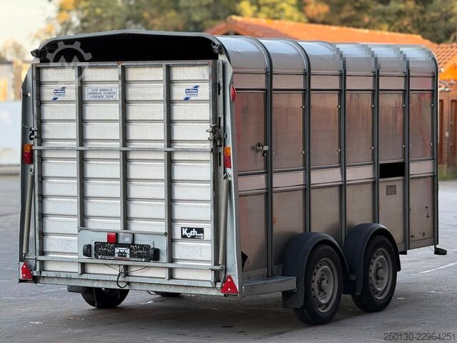 รถพ่วงขนส่งม้า IFOR WILLIAMS SB 2 TA35 PKW Tandem Viehanhänger