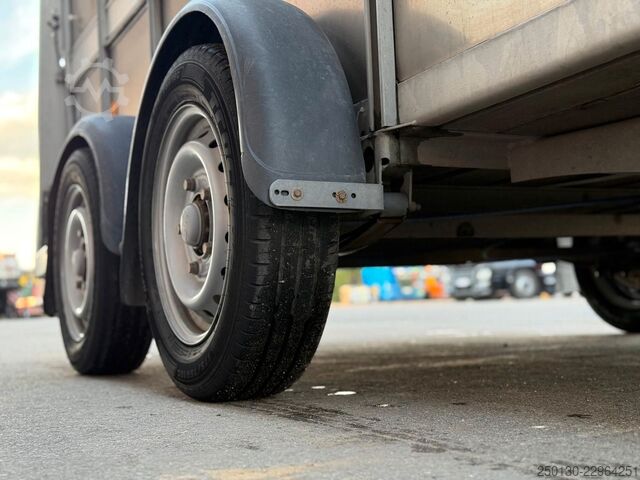 รถพ่วงขนส่งม้า IFOR WILLIAMS SB 2 TA35 PKW Tandem Viehanhänger