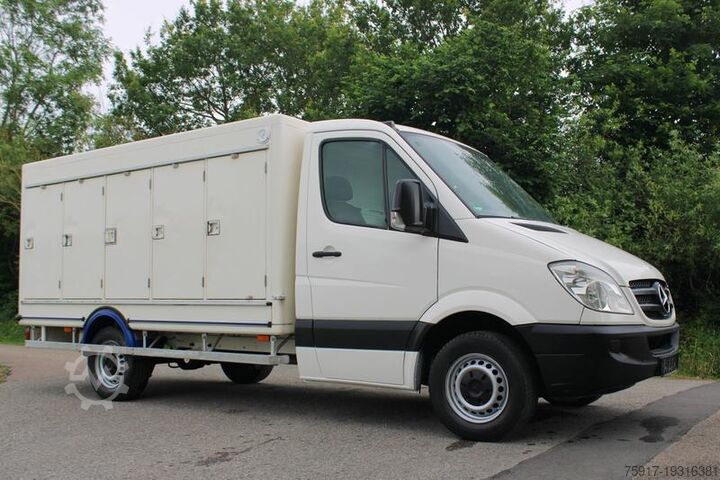 Kühltransporter MERCEDES-BENZ Sprinter310 -33 °C 5+5 Türen Euro 5