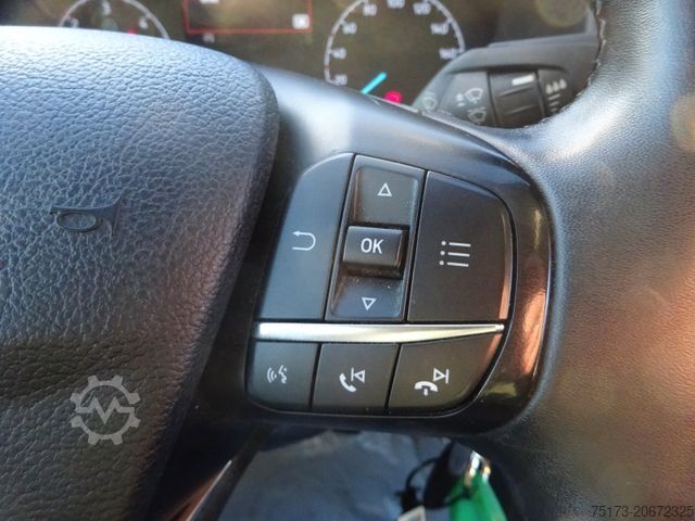 Yüksek tavanlı panelvan FORD Transit Kasten 350 L4H3 Trend 170PS