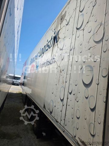 Kylmäkuljetuspuoliperävaunu SCHMITZ CARGOBULL Frigo Thermo King / Multi Temp / DS