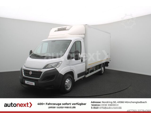 冷藏厢式货车 FIAT Ducato Maxi ThermoKing V300MAX -20° Tief LBW