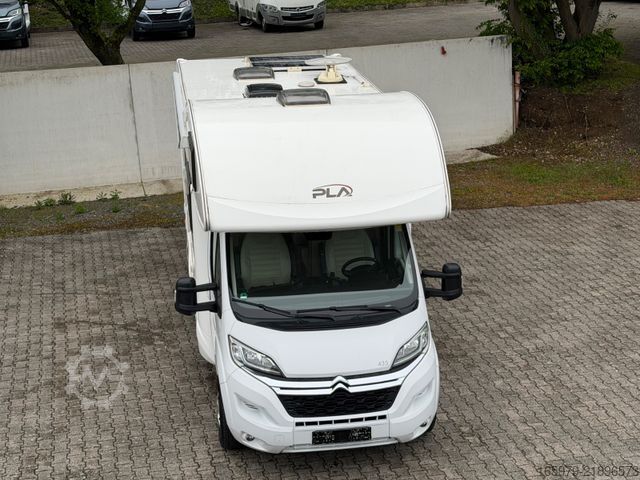 Capucine P.L.A. Siena 435
