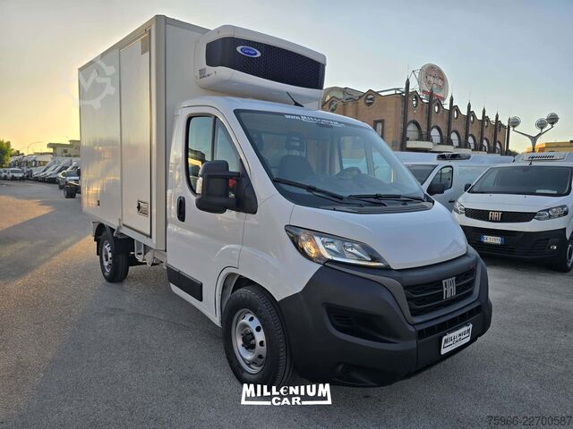 Kølevarevogn FIAT FIAT DUCATO 2023 CELLA 3,10 FRC
