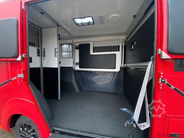 家畜運搬車 RENAULT MASTER AKX NEW MODELL 2025 5 Sitzer Haras ex. L