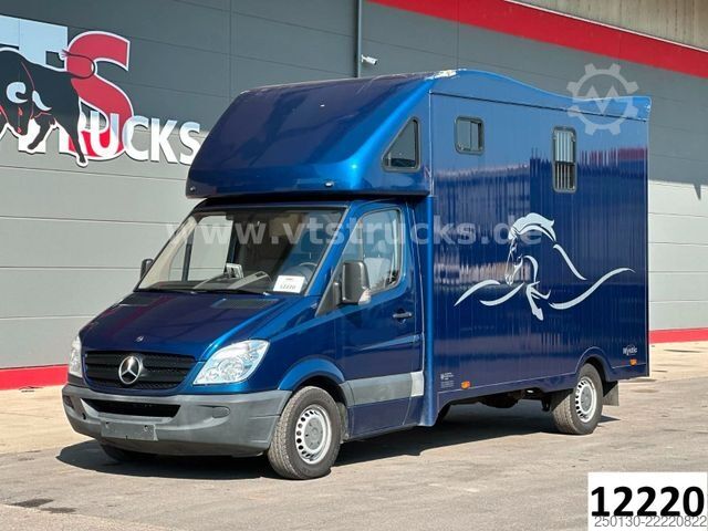 Transporteur de bétail MERCEDES-BENZ Sprinter 319 CDi KHG Mystic Pferdetransporter
