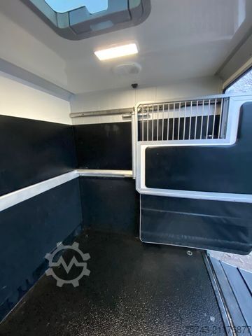 Prepravník dobytka RENAULT Master STX Haras 5 Sitzer TÜV NEU