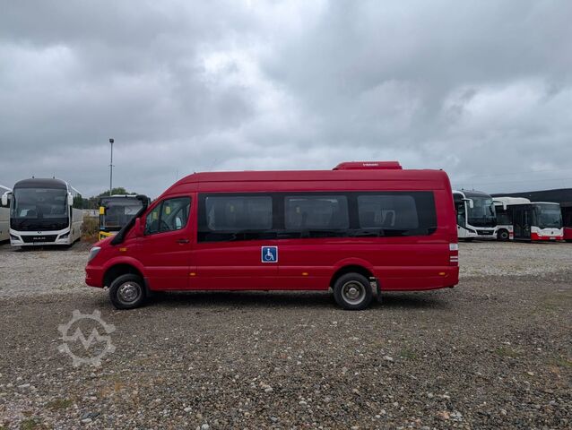 Λεωφορείο MERCEDES-BENZ Sprinter 519 4x4
