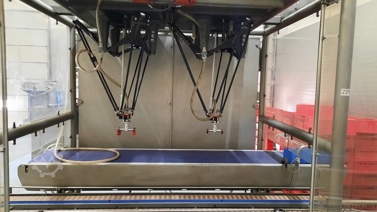 Robot pentru pick and place Ishida 