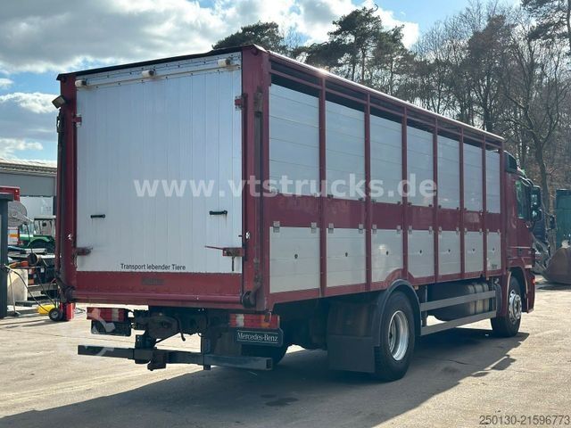 Kreaturvogn MERCEDES-BENZ Actros 1841 MP3 1.Stock Köstner Viehaufbau