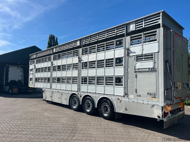 Transporte de gado Pezzaioli 1/2/3 Livestock Type 2 Perfect condition