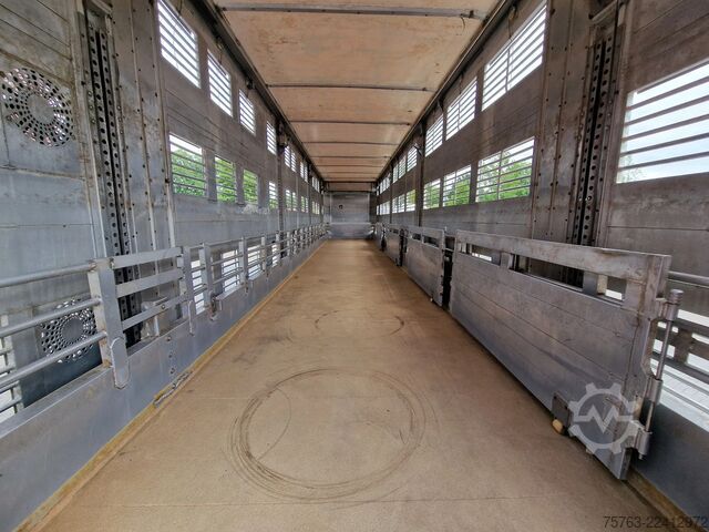 Transporte de gado Finkl 3 deck - lift- water - vans - steering axle