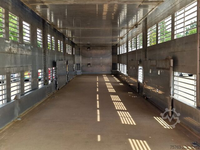 Transporte de gado Finkl 3 deck - lift- water - vans - steering axle