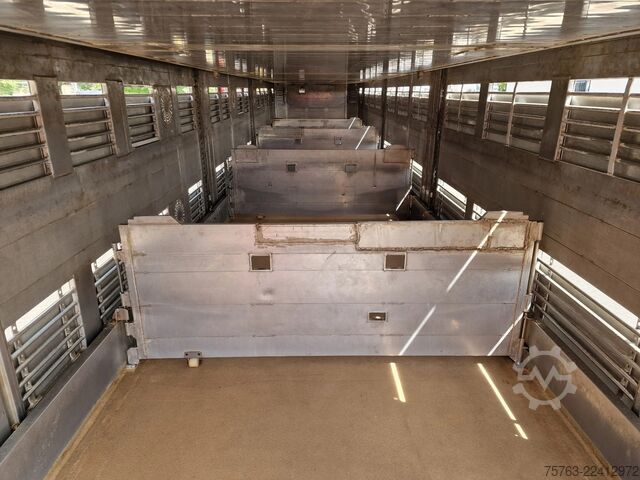 Transporte de gado Finkl 3 deck - lift- water - vans - steering axle