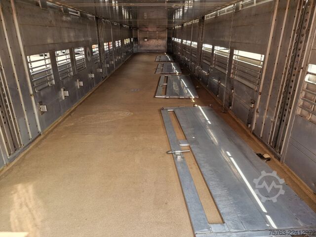 Transporte de gado Finkl 3 deck - lift- water - vans - steering axle