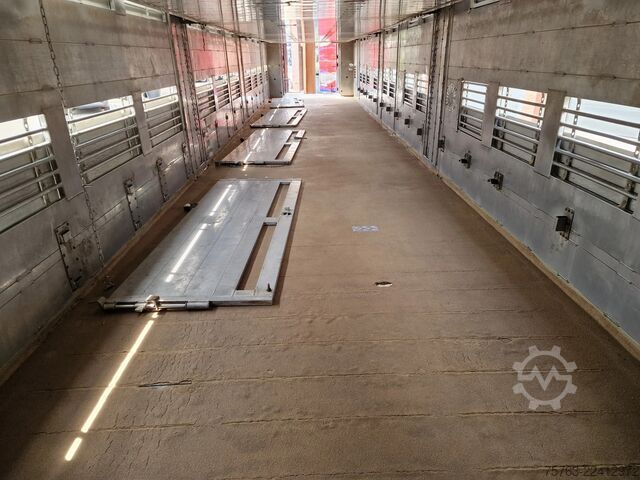 Transporte de gado Finkl 3 deck - lift- water - vans - steering axle