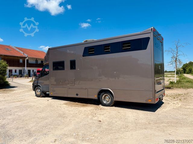 Camión de ganado IVECO Daily