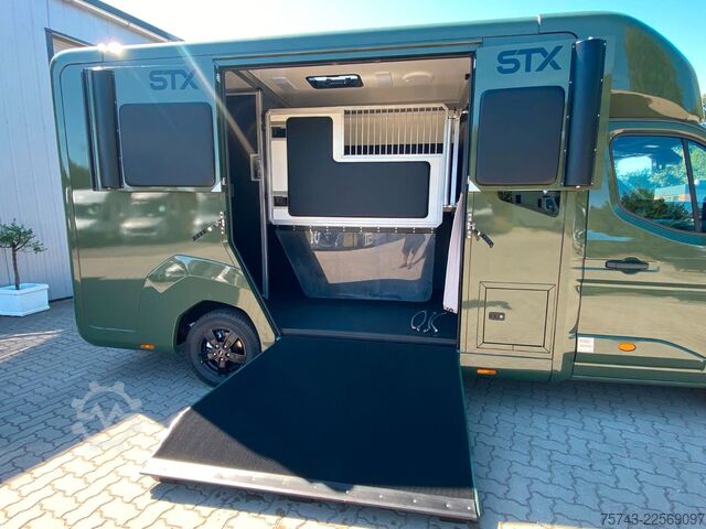 가축 운송차 RENAULT Master STX 5 Sitzer Haras ex. Lang Automatik