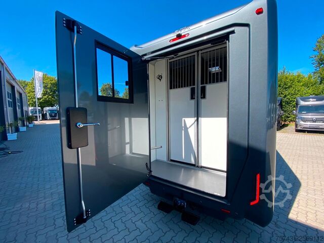 가축 운송차 RENAULT Master STX 5 Sitzer Haras ex. Lang Automatik