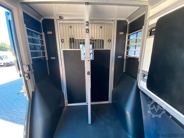 가축 운송차 RENAULT Master STX 5 Sitzer Haras ex. Lang Automatik