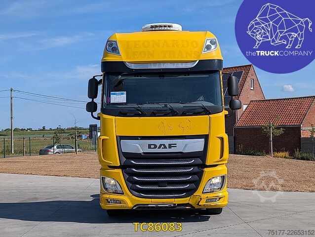Standart-SZM DAF XF 480