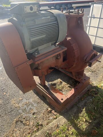 Dumblo/vandens siurblys 160 000 l/val.  