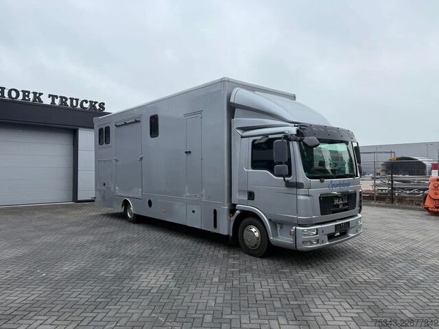 Paarden transport MAN | Horse Truck | Year: 2011 | KM: 312.257 | 5 Ho...