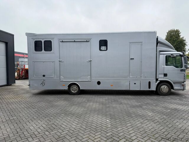 Paarden transport MAN | Horse Truck | Year: 2011 | KM: 312.257 | 5 Ho...