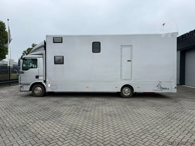 Paarden transport MAN | Horse Truck | Year: 2011 | KM: 312.257 | 5 Ho...