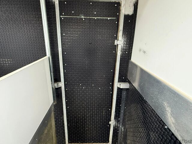 Transporte de cavalos MAN | Horse Truck | Year: 2011 | KM: 312.257 | 5 Ho...