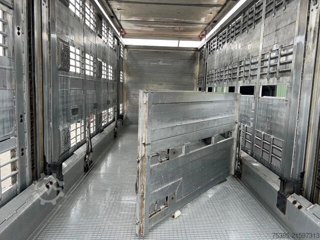 Transporte de gado MAN TGX 26.440 6x2/4 Menke Livestock Veewagen Gross...