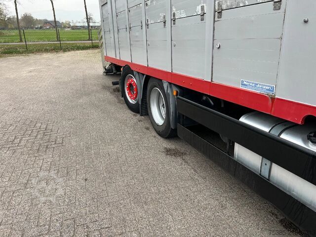Pengangkutan ternak MAN TGX 26.440 6x2/4 Menke Livestock Veewagen Gross...