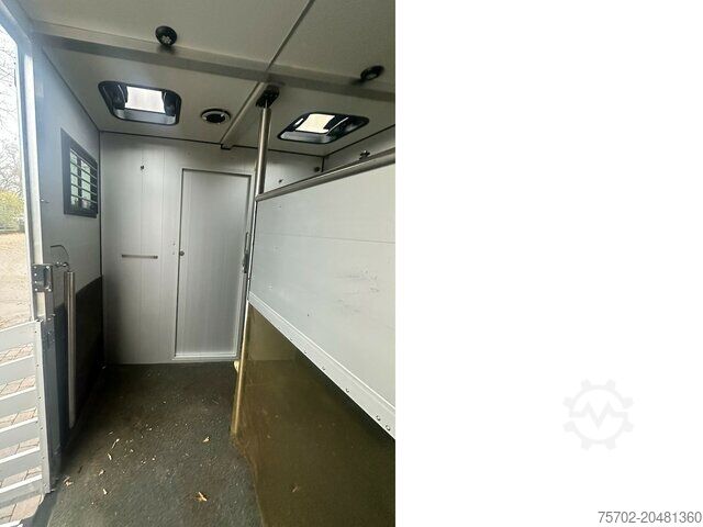 Prevoznik stoke Iveco Daily 2 Pferde Automatik, AHK