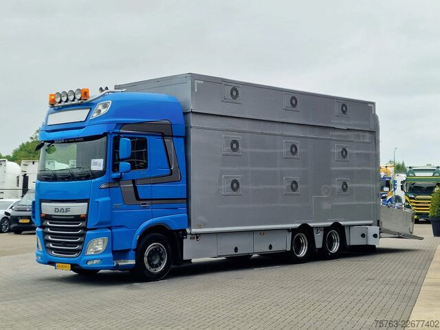 DAF XF 510 6x2 SuperSpaceCab - Livestock Cuppers 3 ...