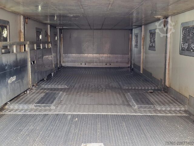Transport av nötkreatur DAF XF 510 6x2 SuperSpaceCab - Livestock Cuppers 3 ...