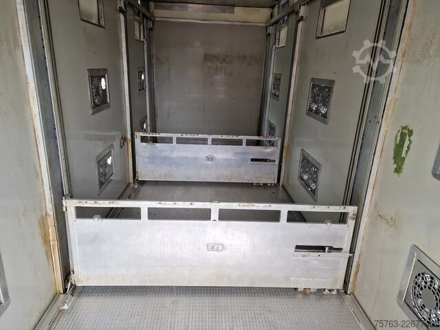 Transport av nötkreatur DAF XF 510 6x2 SuperSpaceCab - Livestock Cuppers 3 ...