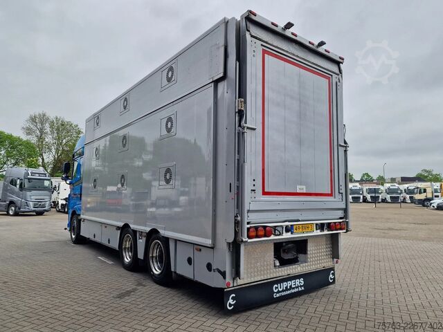 Transport av nötkreatur DAF XF 510 6x2 SuperSpaceCab - Livestock Cuppers 3 ...