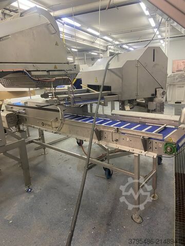 рыбоперерабатывающая машина Marel Speed batcher pakkestasjon SBL 300