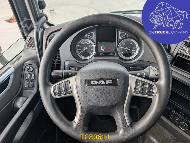 Estándar-SZM DAF XF 480
