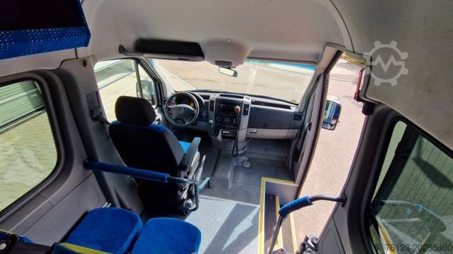รถมินิบัส MERCEDES-BENZ Sprinter 516 / 22 Sitzer, Crafter Daily Ducato