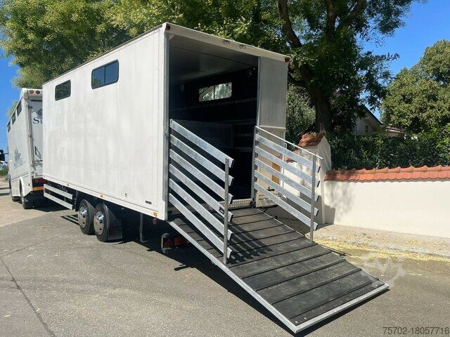Cattle truck Scania R310 mit Spier Hänger 15 Pferde