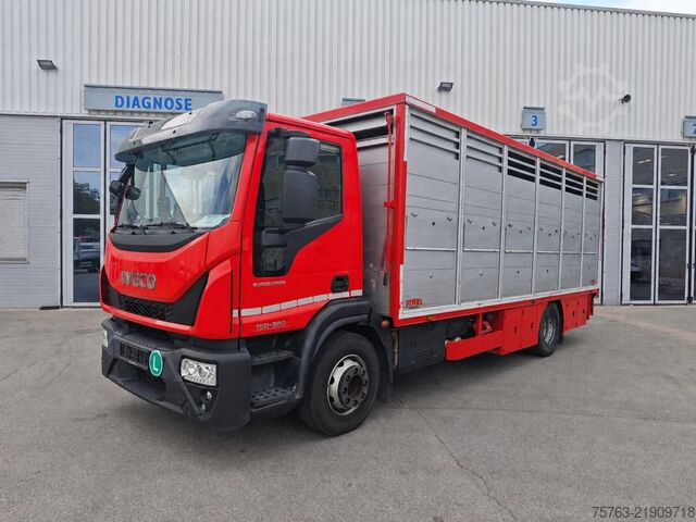 Transport av nötkreatur Iveco Eurocargo 150.320 - Finkl Livestock box - Autom...